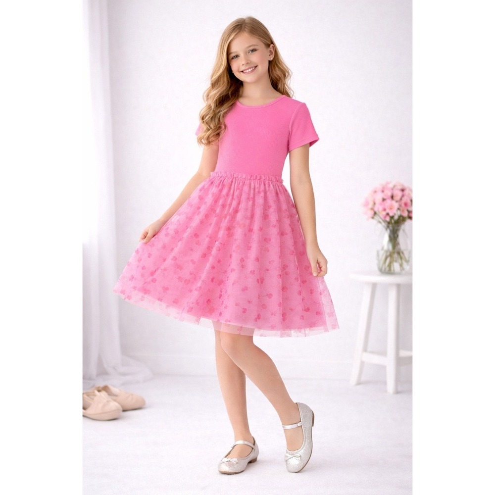 Wonder‎ Nation Pink Cherry Hearts Tulle Tutu Dress XL 14-16 New NWT